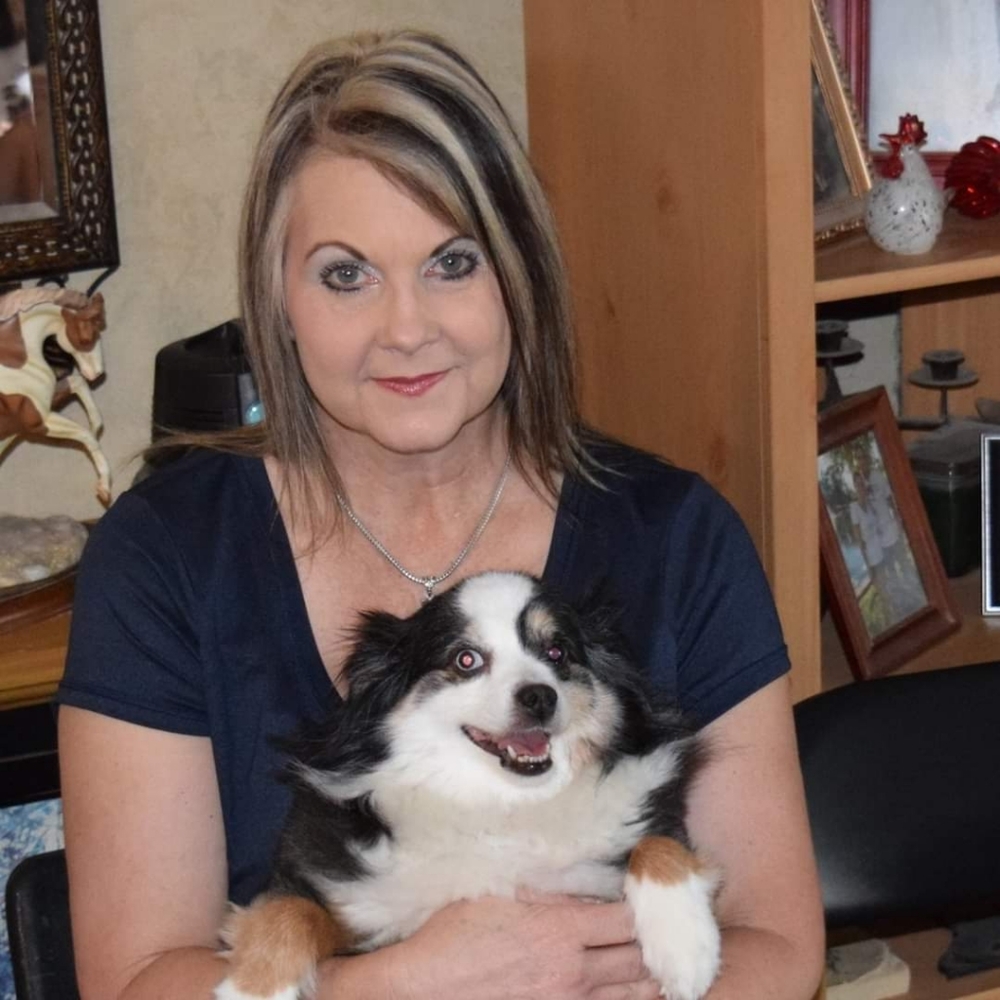 Meet your Posher, Dawn